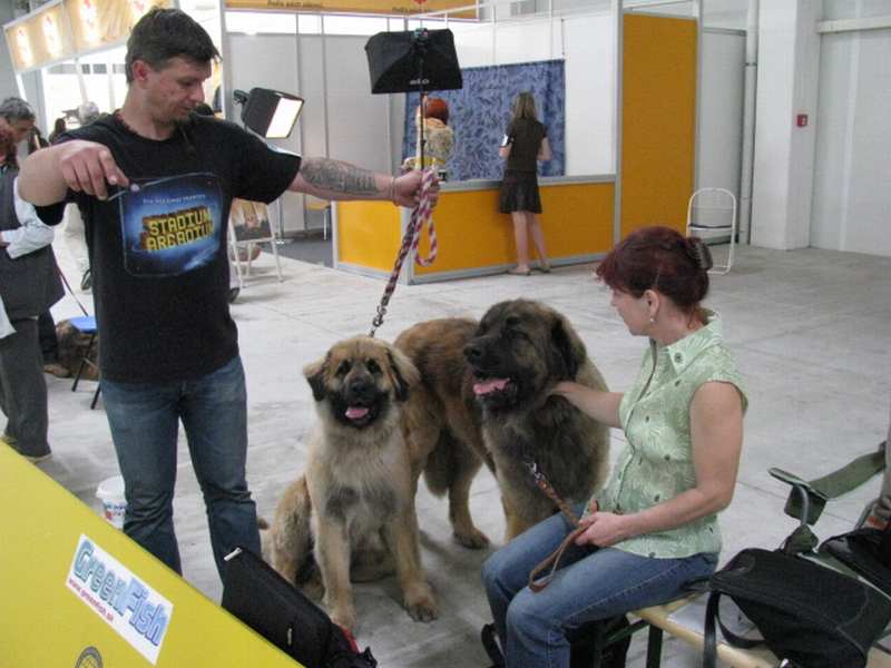 18.5.2008 12-24-20.JPG