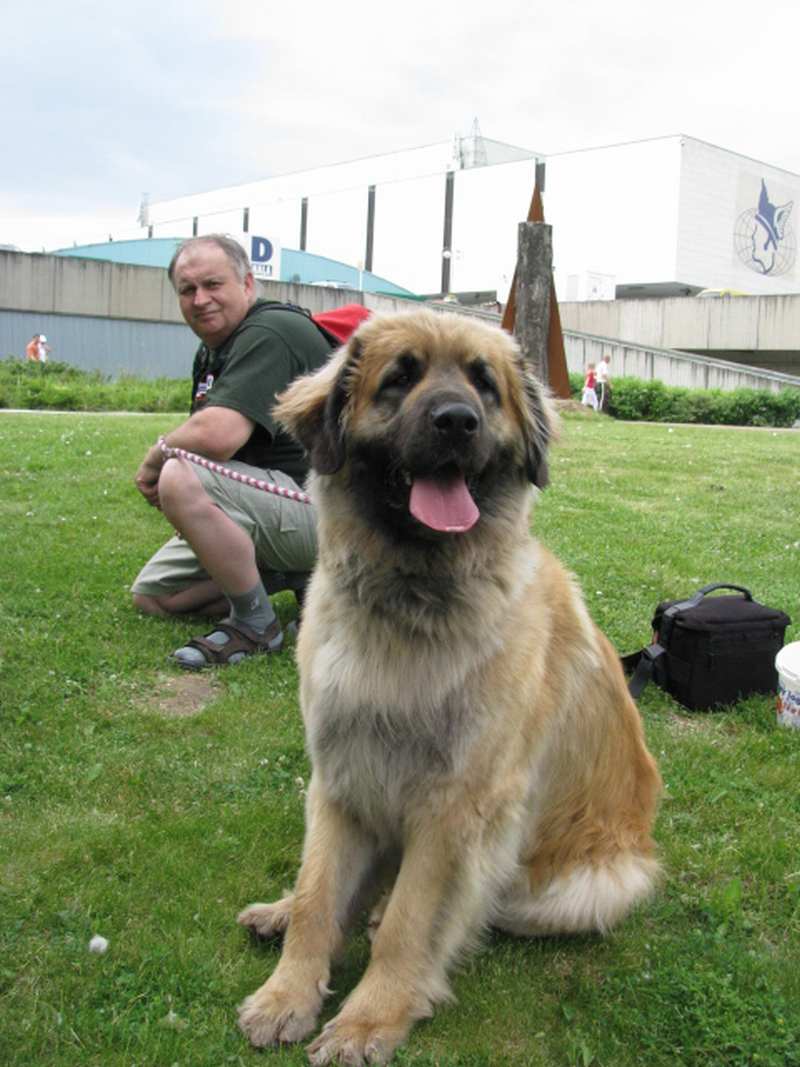 18.5.2008 13-08-23.JPG