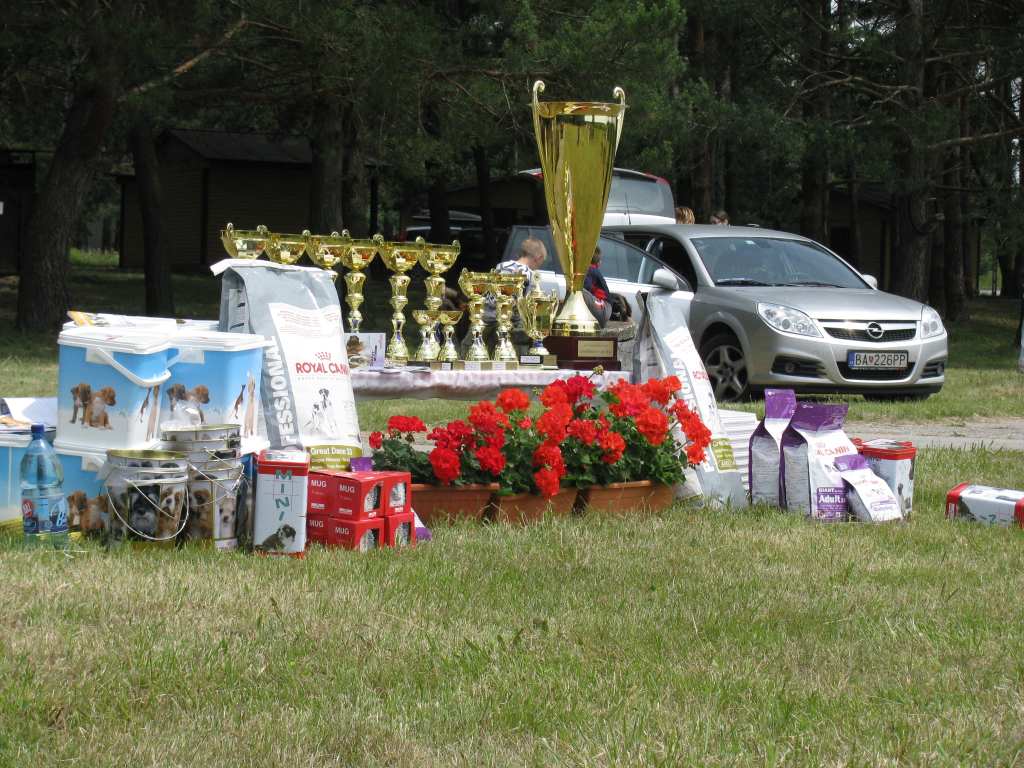 elza_6.6.2009 010.jpg