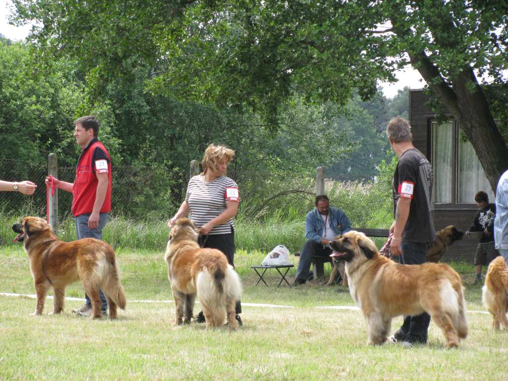 elza_6.6.2009 017.jpg