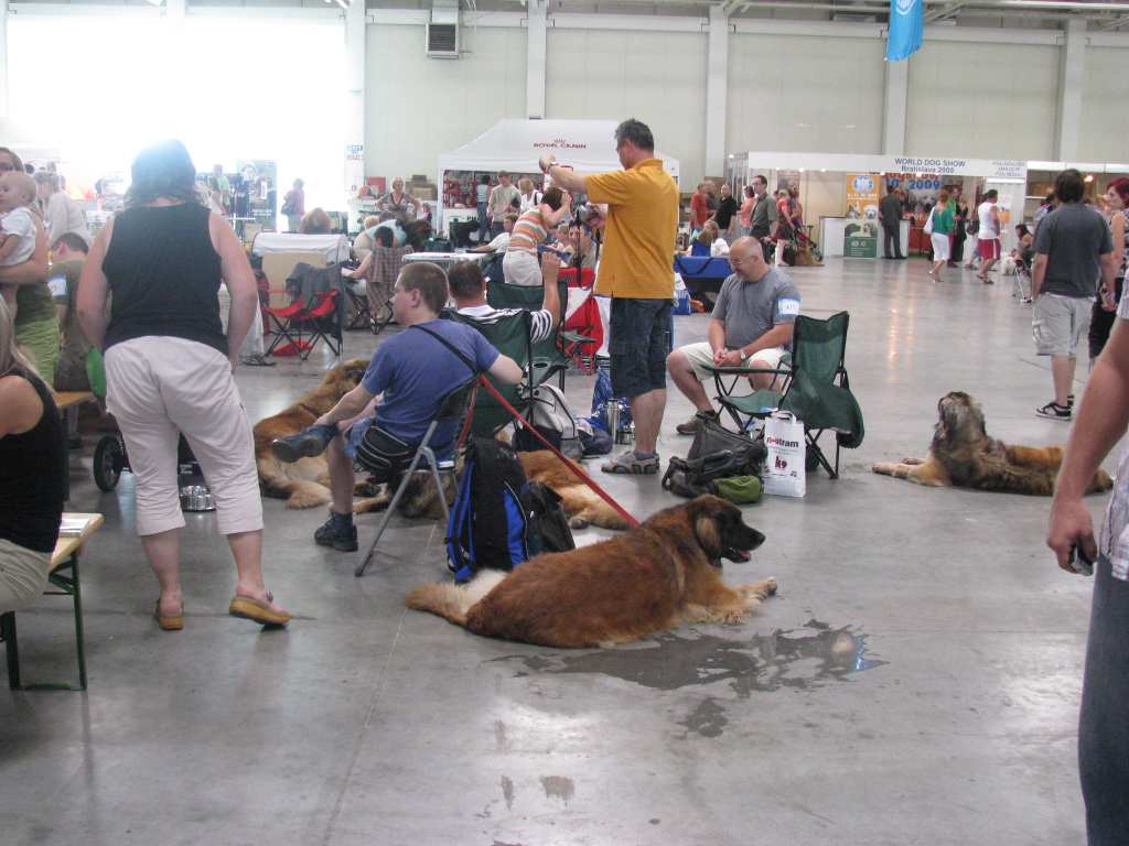 IMG_2867.jpg