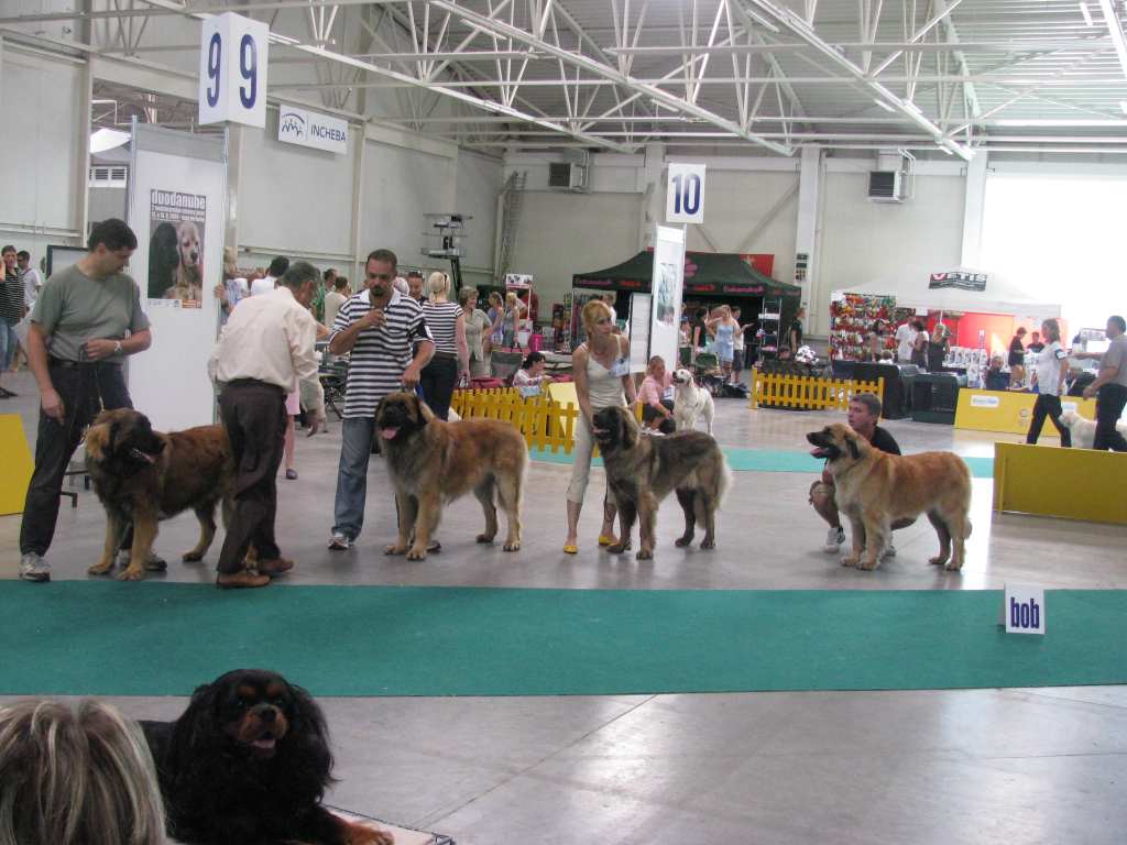 IMG_2899.jpg